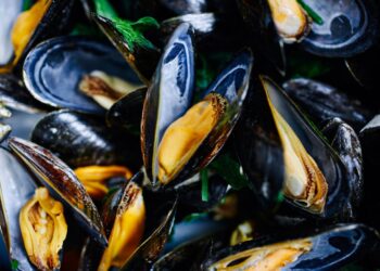 Allerta sanitaria: ritirato un lotto di cozze per contaminazione batterica