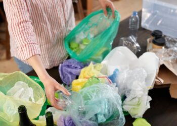 Estate, caldo e spazzatura: la guida definitiva per eliminare i cattivi odori in modo naturale