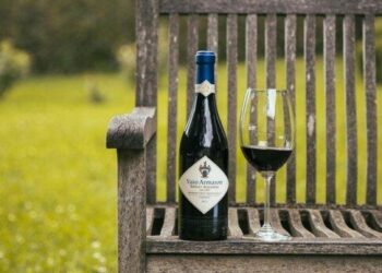 Un risveglio sensoriale tra vigne e silenzi