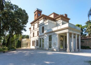 Wine Business Program 2025: il Consorzio Italia del Vino apre la selezione per la nuova élite del settore