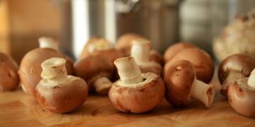 Vitamina D: i 10 cibi top che ti aiutano a rinforzare ossa e difese immunitarie