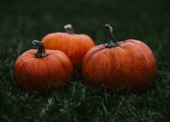 La vera storia della zucca di Halloween: dietro i dolcetti, una oscura leggenda