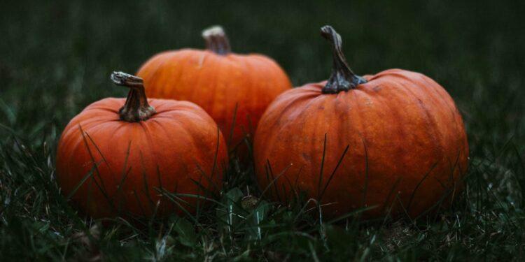 La vera storia della zucca di Halloween: dietro i dolcetti, una oscura leggenda