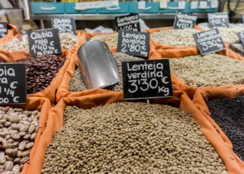 Lenticchie: il super alimento vegetale che sfida carne e integratori