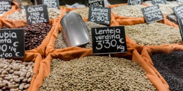 Lenticchie: il super alimento vegetale che sfida carne e integratori