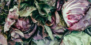 Cosa comprare a novembre: i 20 alimenti che salvano la salute ed il portafoglio