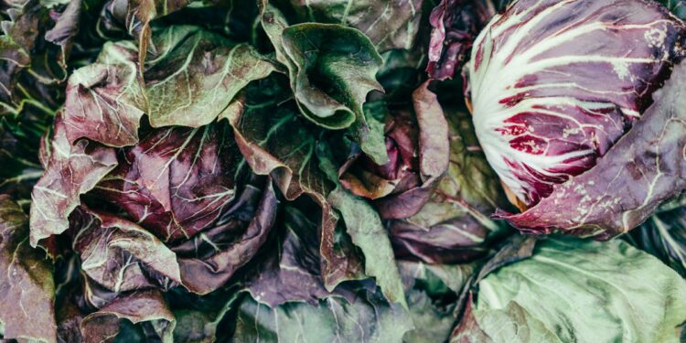 Cosa comprare a novembre: i 20 alimenti che salvano la salute ed il portafoglio
