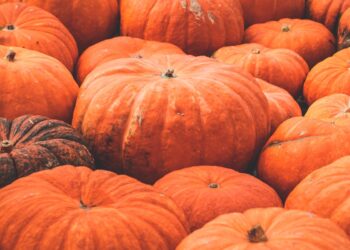 Halloween, il vero orrore è lo spreco: ecco il costo invisibile delle tue decorazioni