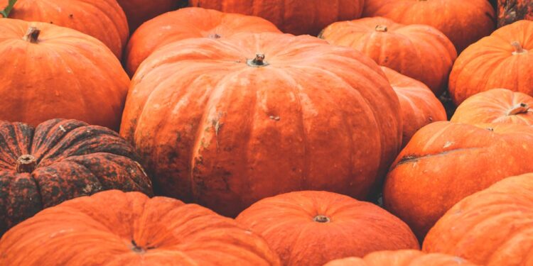 Halloween, il vero orrore è lo spreco: ecco il costo invisibile delle tue decorazioni
